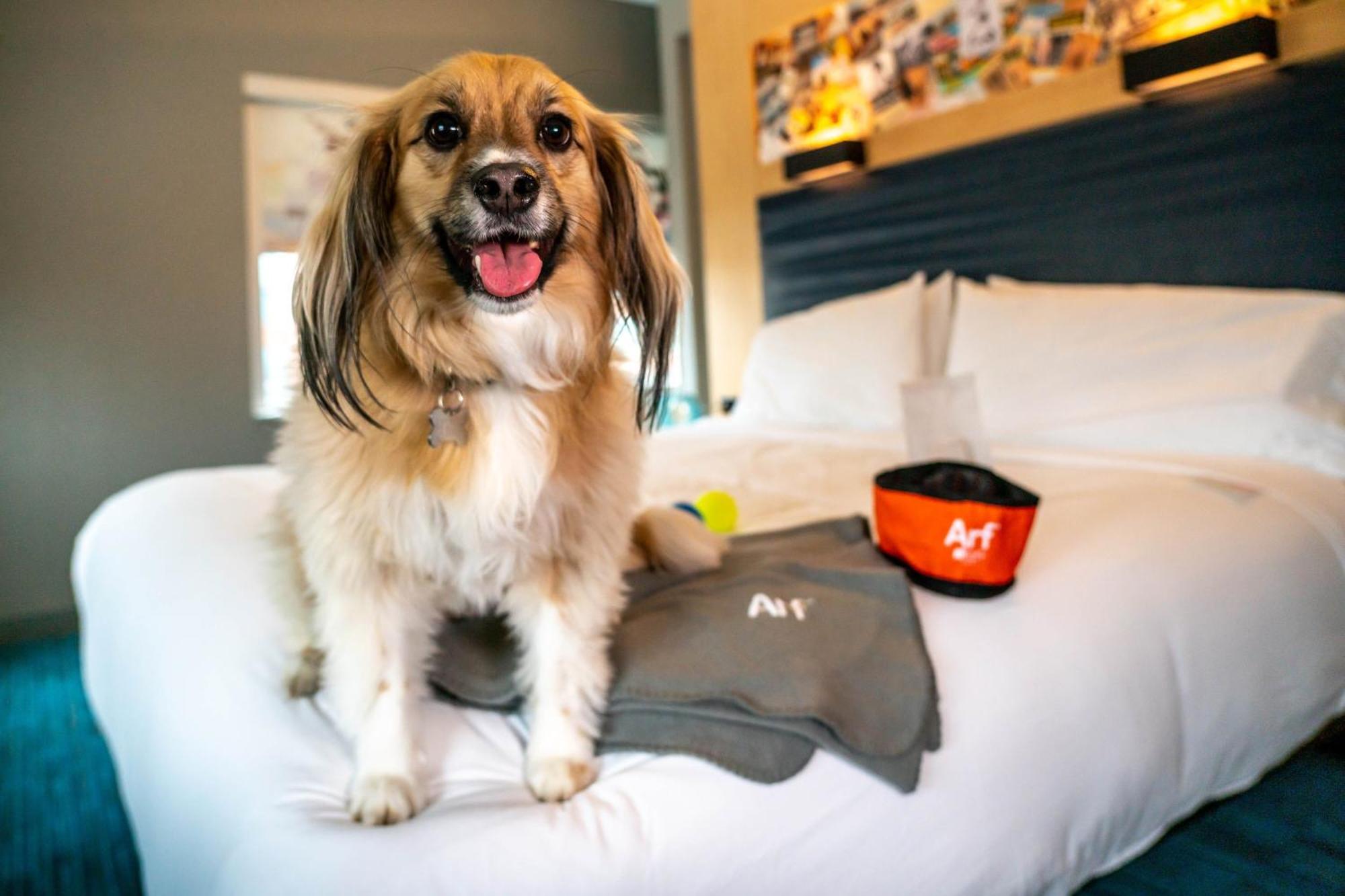 Aloft Louisville Downtown Zewnętrze zdjęcie